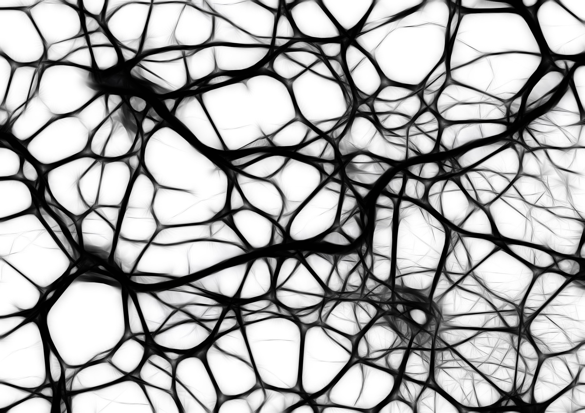 Das menschliche neuronale Netz stand Pate bei der Entwicklung der künstlichen neuronalen Netze für die Regelung von solarthermischen Heizungsanlagen. Quelle: Pixabay