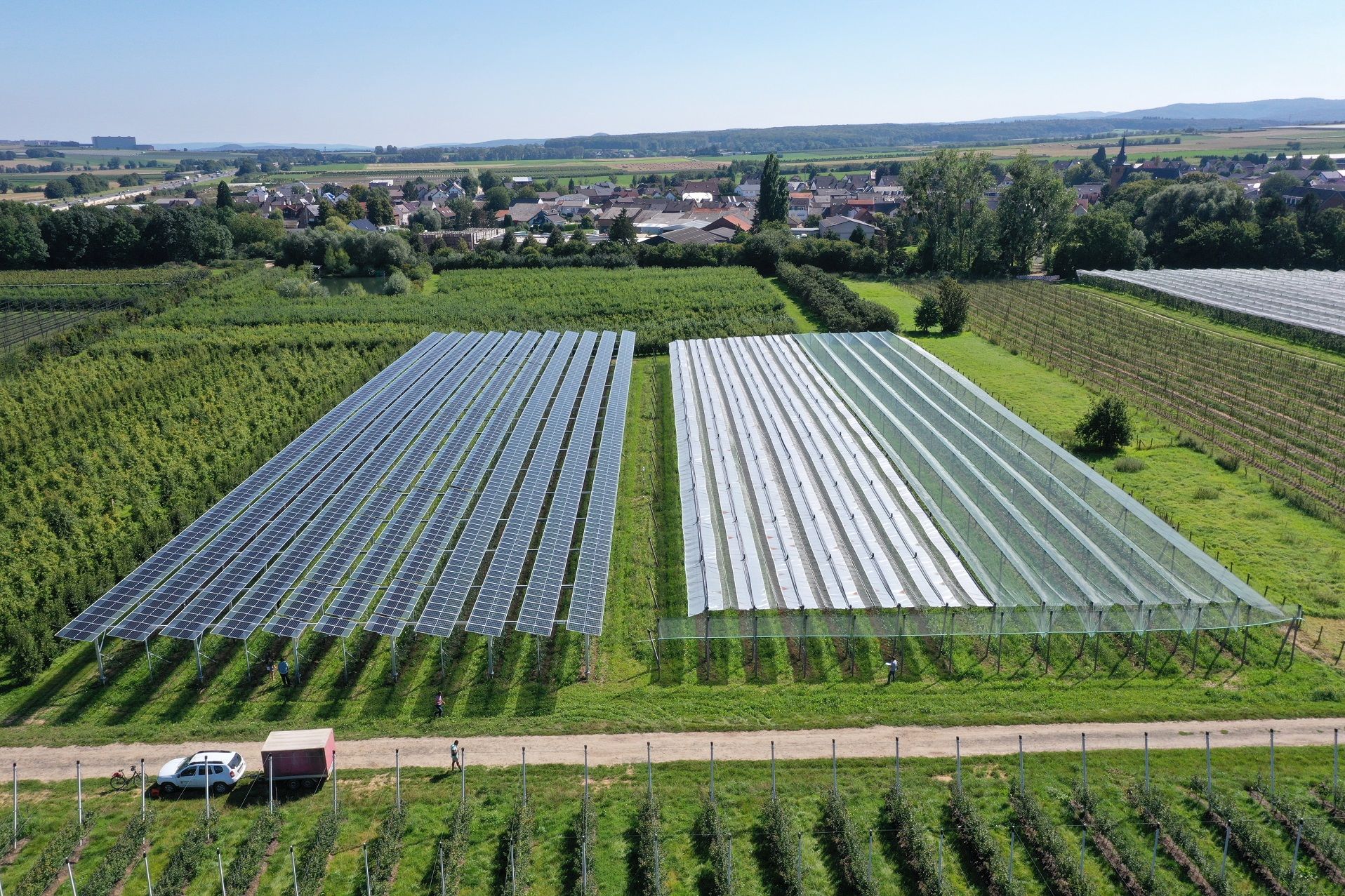 In the project “Agri-PV Obstbau”, a variety of solar module technologies (left) and conventional crop protection systems (right) are being tested.