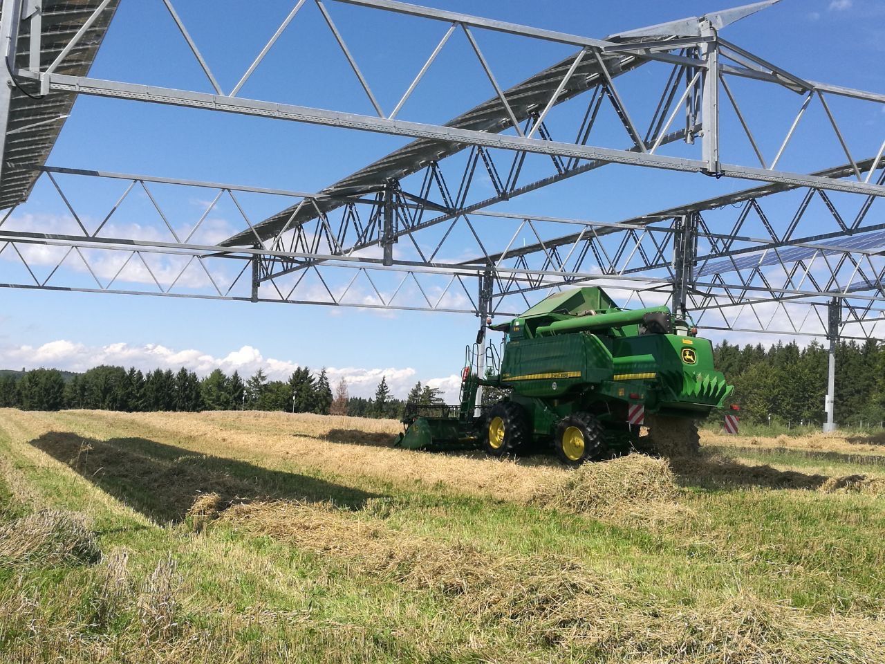 first grain harvest of the APV system first grain harvest of the APV system