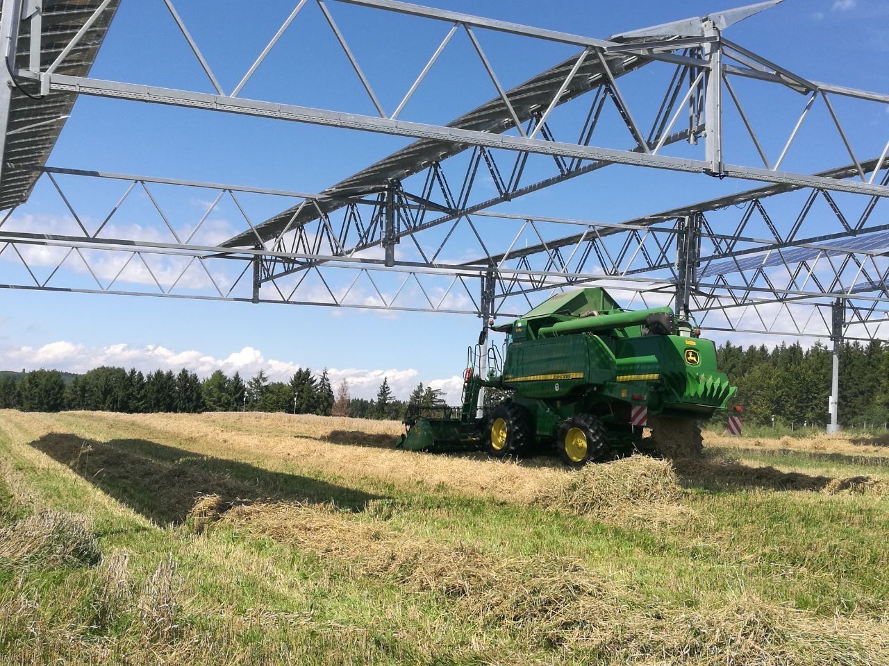 first grain harvest of the APV system