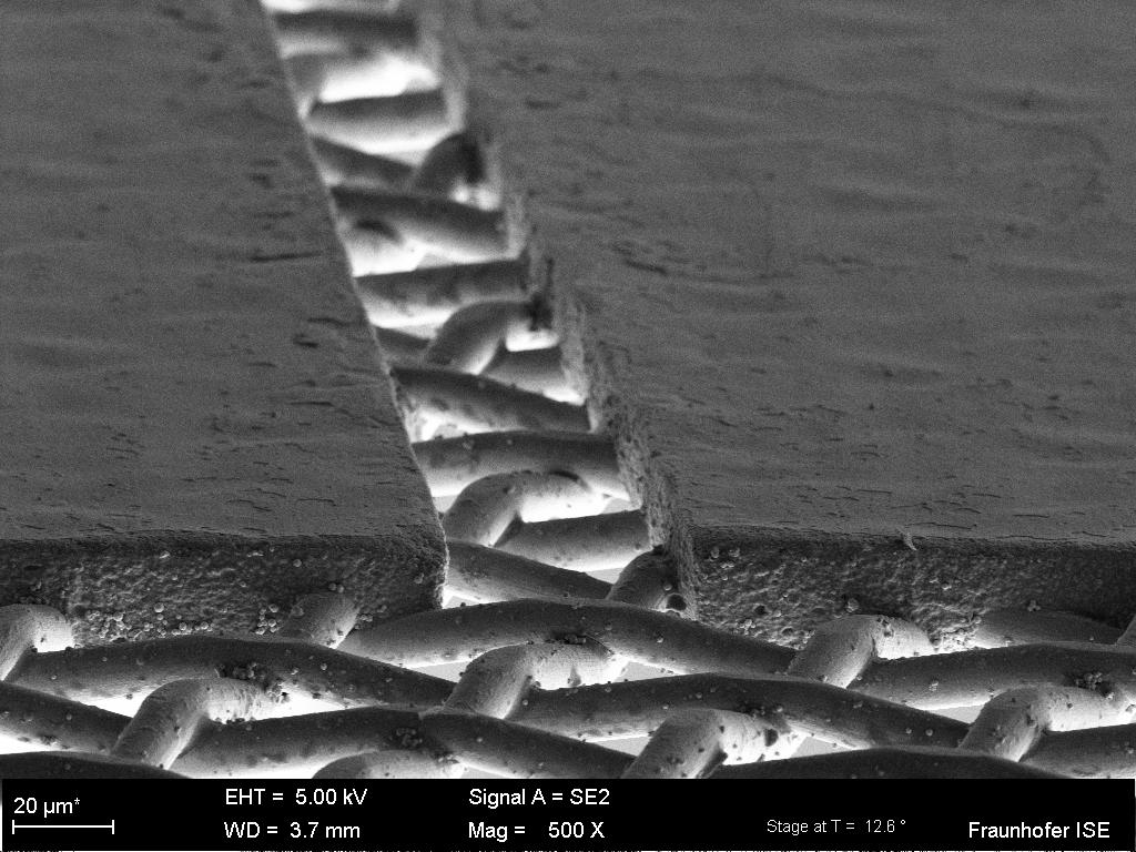 Scanning electron microscope image of a finger opening in a fine-mesh screen.